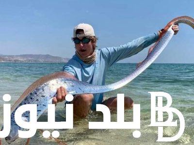 “المجداف” سمكة يوم القيامة 2024 و علاقتها بزلزال اليابان الضخم و مواصفات السمكة المُدمرة لليابان