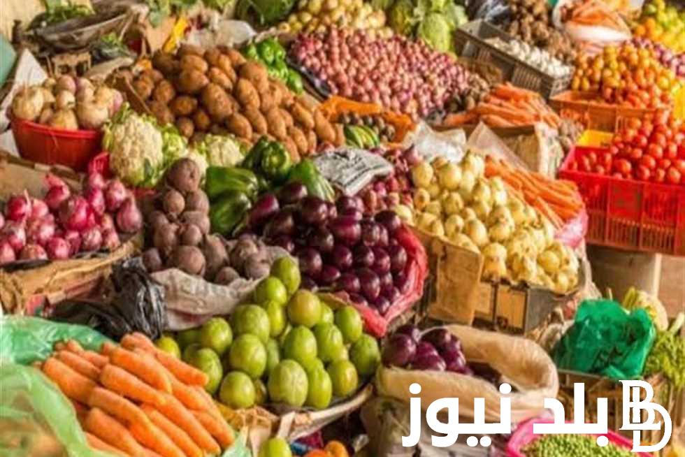 مجنونة يا أوطة .. أسعار الخضار اليوم الثلاثاء 27 فبراير 2024 في سوق العبور بالقاهرة للمستهلك