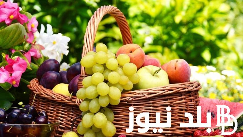 أسعار الخضروات والفاكهة اليوم الاربعاء 7 فبراير 2024 بسوق العبور