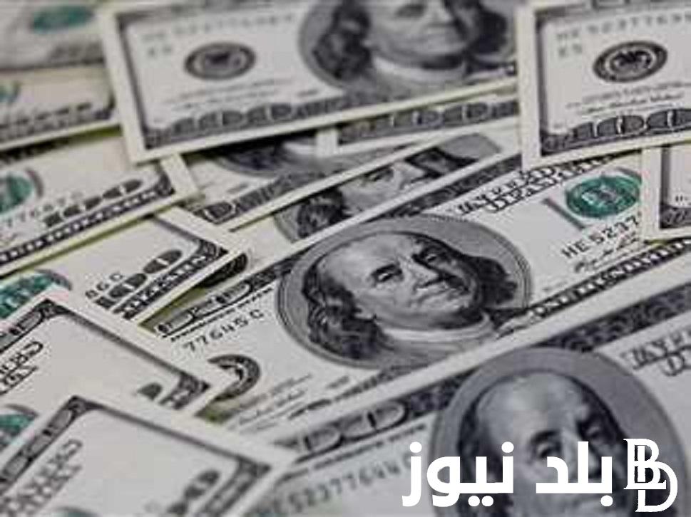 انخفاض حاد في سعر الدولار اليوم مقابل الجنيه المصري الثلاثاء 6 فبراير 2024 في السوق السوداء