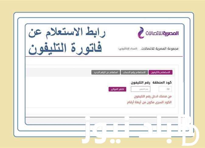 استعلام عن فاتوره التليفون الارضي لشهر فبراير 2024 بالاسم والرقم عبر موقع الشركة المصرية للاتصالات