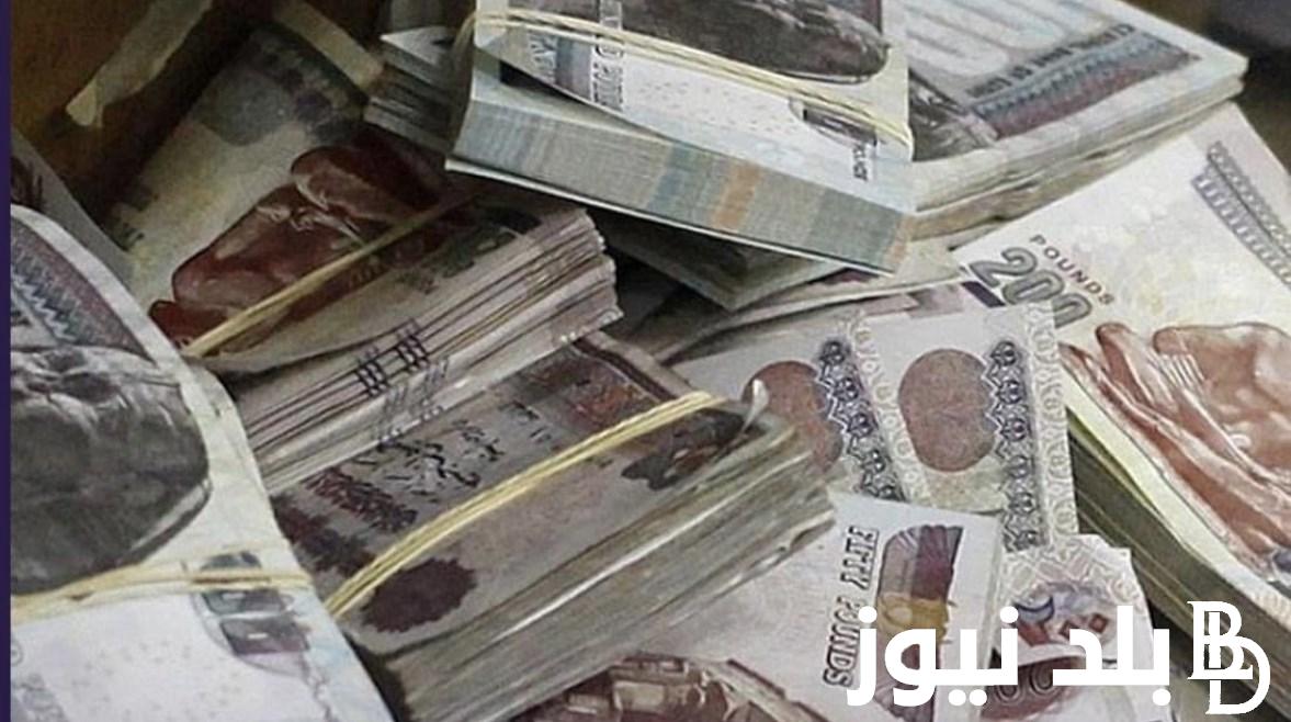 مواعيد صرف مرتبات شهر فبراير 2024 بالزيادة الجديدة.. المالية تُحدد