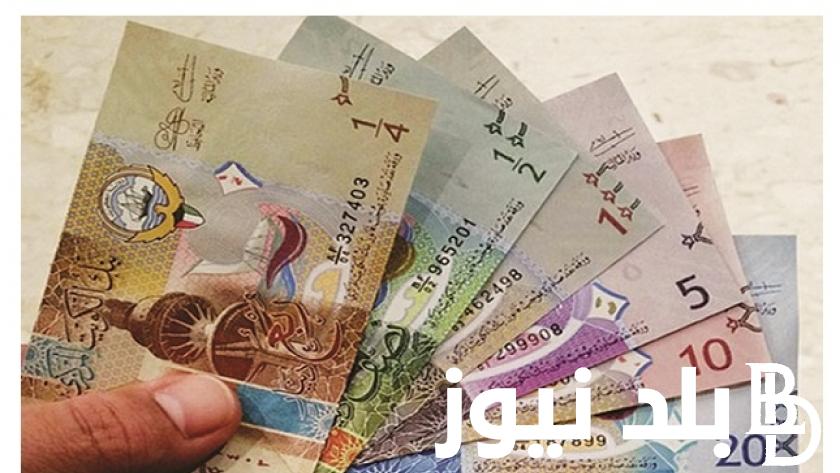 الكويتي بكام؟.. 100 دينار كويتي كم جنيه مصري في السوق السوداء اليوم الاربعاء 28 فبراير 2024