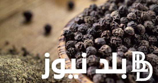 سعر كيلو الفلفل الأسود اليوم السبت 10 فبراير 2024 و ما هو سعر كيلو الكمون