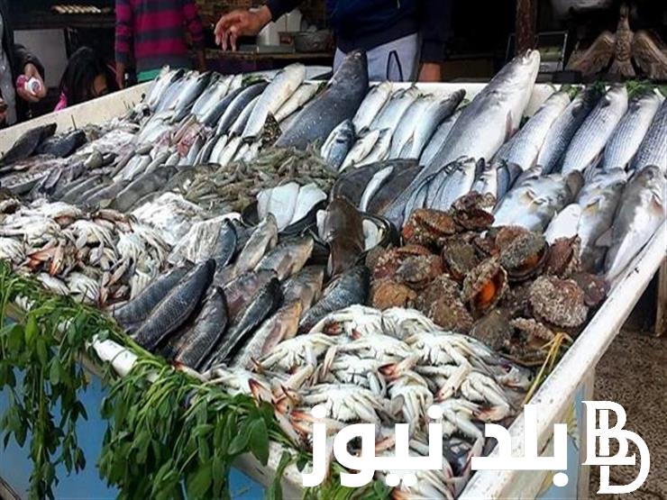 “اعرف” اسعار السمك البلطي والبوري اليوم الخميس 29 فبراير 2024 بجميع الاسواق المصرية
