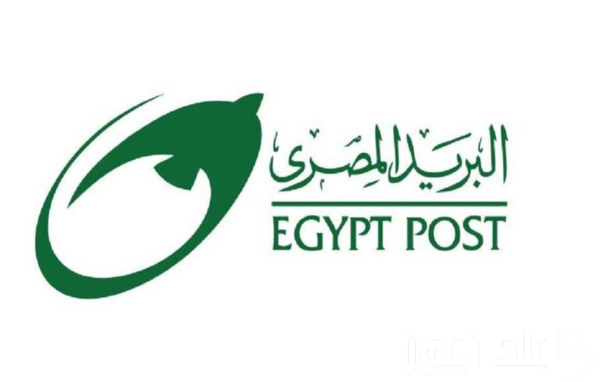 “خطوه بخطوه” رابط تقديم وظائف البريد المصري 2024 عبر بوابة الوظائف الحكوميه jobs.caoa.gov.eg