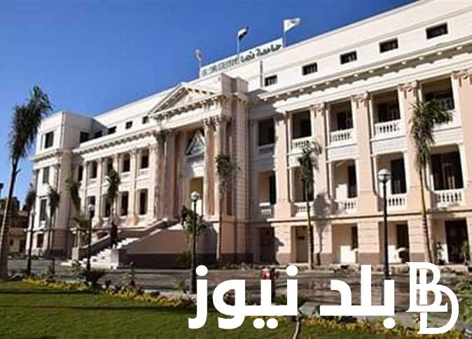 وظائف جامعة بنها 2024 وشروط التقديم والأوراق المطلوبة