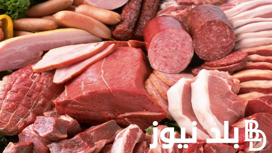 “بكام الحمره النهارده” اسعار اللحوم اليوم الثلاثاء 13 فبراير 2024 فى منافذ البيع وجميع الاسواق المصريه