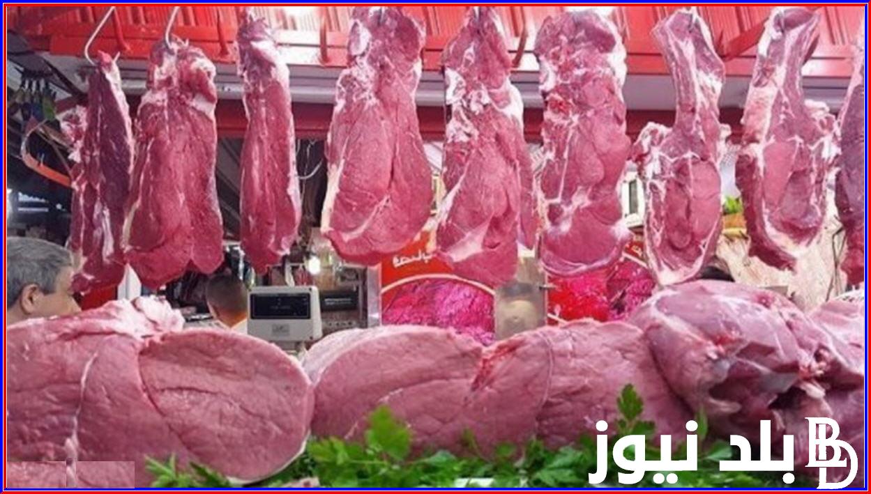 “البتلو بـ300” كم سعر كيلو اللحمة اليوم في مصر الاثنين 5 فبراير 2024 في محلات الجزارة