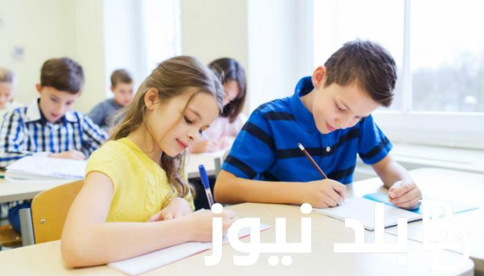 لينك.. نتيجة الصف الثالث الاعدادى الترم الاول 2024 بمحافظة قنا بلاسم ورقم الجلوس