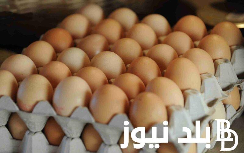البيض بكام دلوقتي؟.. سعر كرتونة البيض اليوم الاربعاء 7 فبراير 2024 في جميع الاسواق التجارية