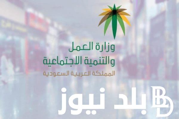 بالخطوات.. الاستعلام عن الضمان الاجتماعي برقم الهوية 1445 عبر موقع موقع وزارة الموارد البشرية والتنمية الاجتماعية