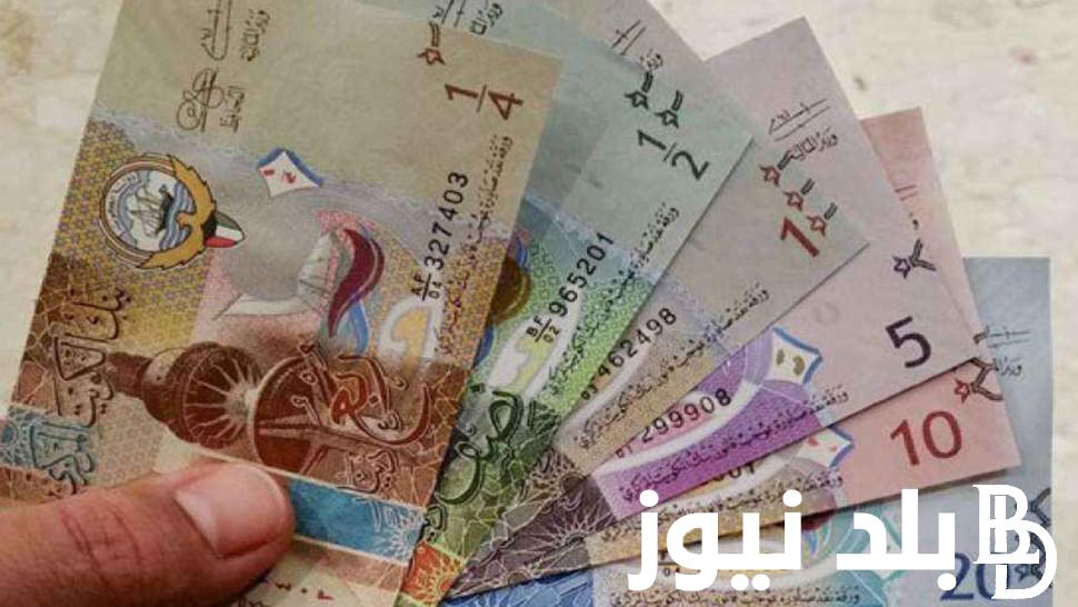 سعر الدينار الكويتي في السوق السوداء اليوم السبت 24 فبراير 2024 أمام الجنيه المصري