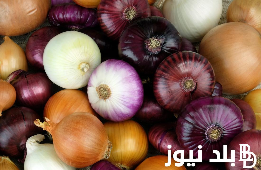 ارتفاع البصل.. كم سعر البصل في السعودية اليوم الخميس 8 فبراير 2024