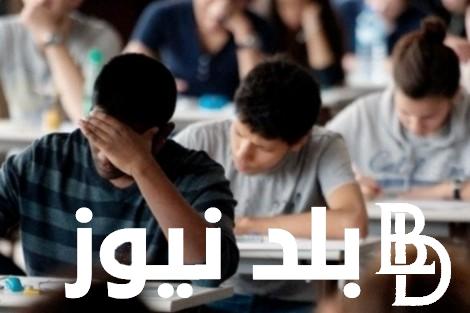 ظهرت NOW || نتيجة الصف الثالث الاعدادي بالقليوبية 2024 الترم الأول من خلال موقع بوابة التعليم الأساسي