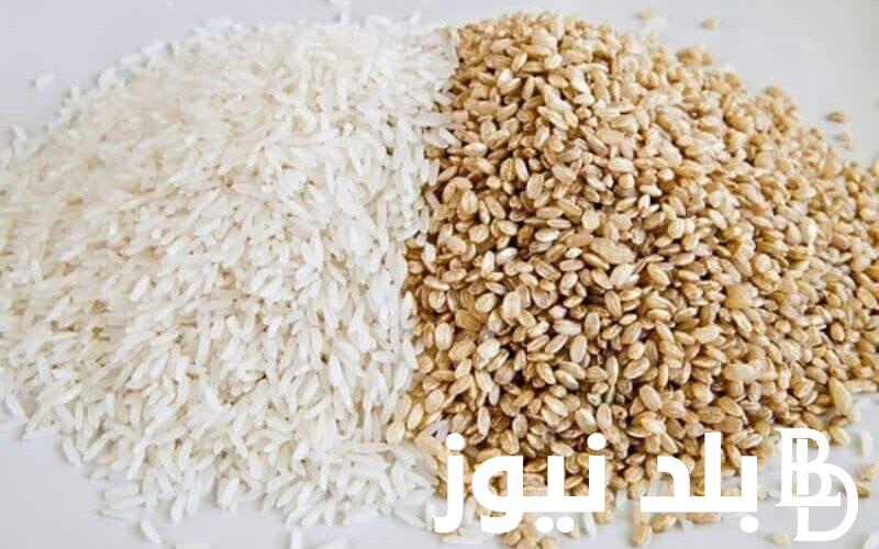 “اشتري قبل رمضان” سعر طن الارز الشعير اليوم الخميس 8 فبراير 2024 في الاسواق التجارية