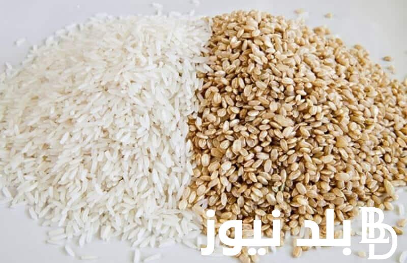 وصل كام..؟ سعر الارز الشعير اليوم الاثنين 19 فبراير 2024 فى جميع الاسواق المصريه