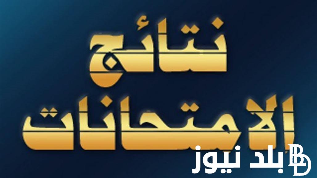 استعلام نتائج السادس المهني الخارجي 2024 بالرقم الامتحاني عبر موقع نتائجنا