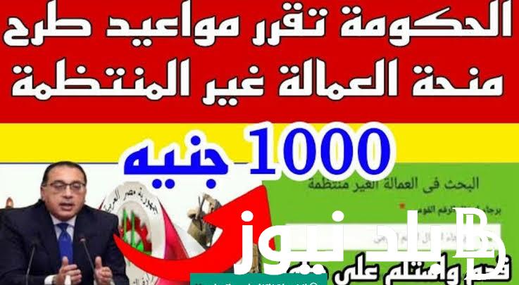 LINK رابط تسجيل بيانات العمالة غير المنتظمة www manpower gov eg منحة وزارة القوى العاملة 2024