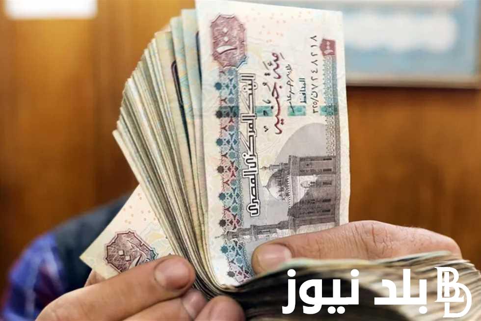 زيادة المرتبات والمعاشات.. تعرف علي موعد الصرف والمناقشة في البرلمان