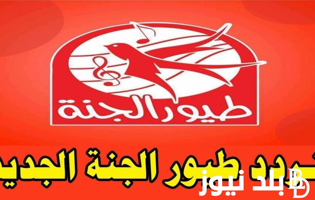 اضبط.. تردد قناة طيور الجنة الجديد 2024 على جميع الاقمار الصناعيه على نايل سات وعرب سات للمشاهده بجوده HD