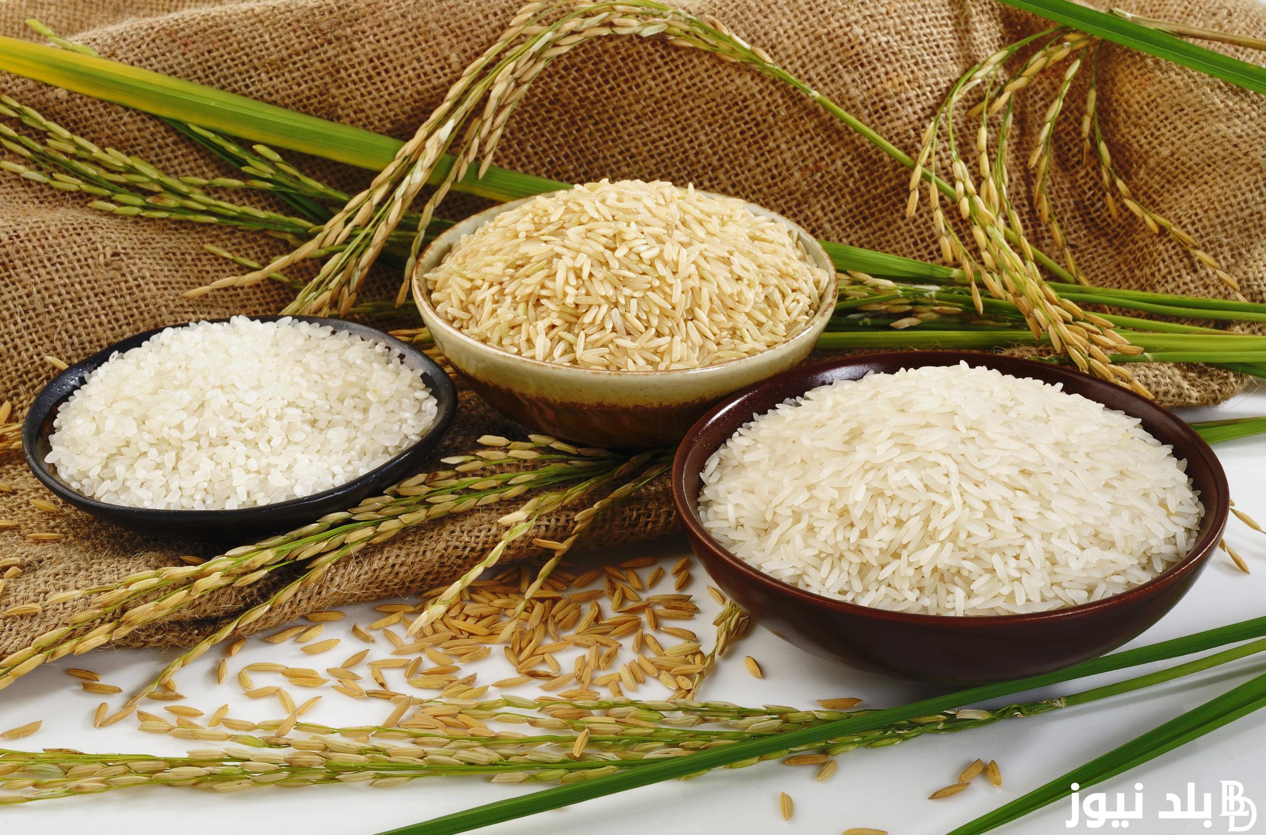 ” وصل كام ” سعر طن الأرز الشعير اليوم الثلاثاء 27 فبراير في الأسواق للمستهلك