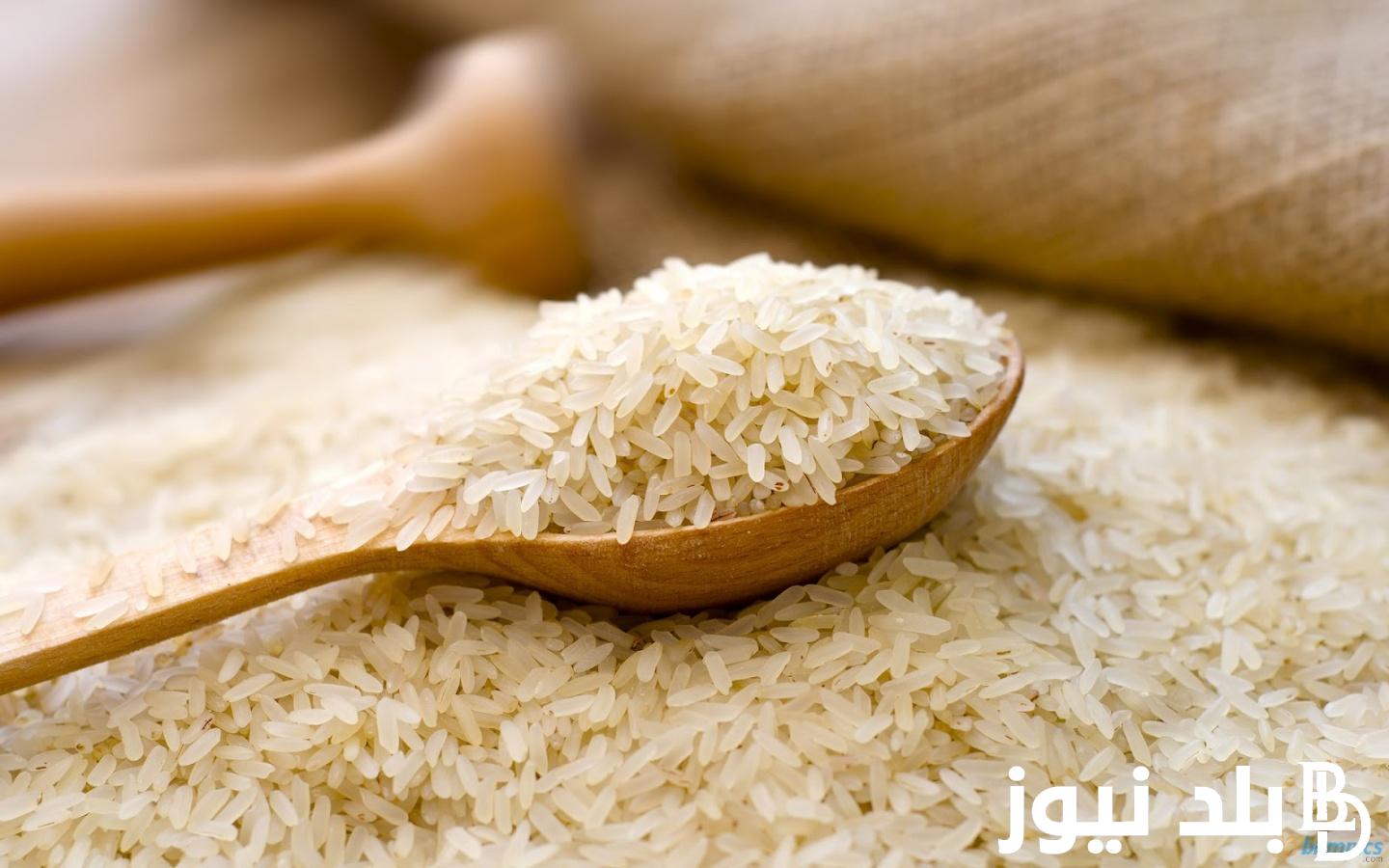 “الابيض فى الطالع” سعر طن الارز الشعير اليوم الثلاثاء 6 فبراير 2024 فى الاسواق للمستهلك