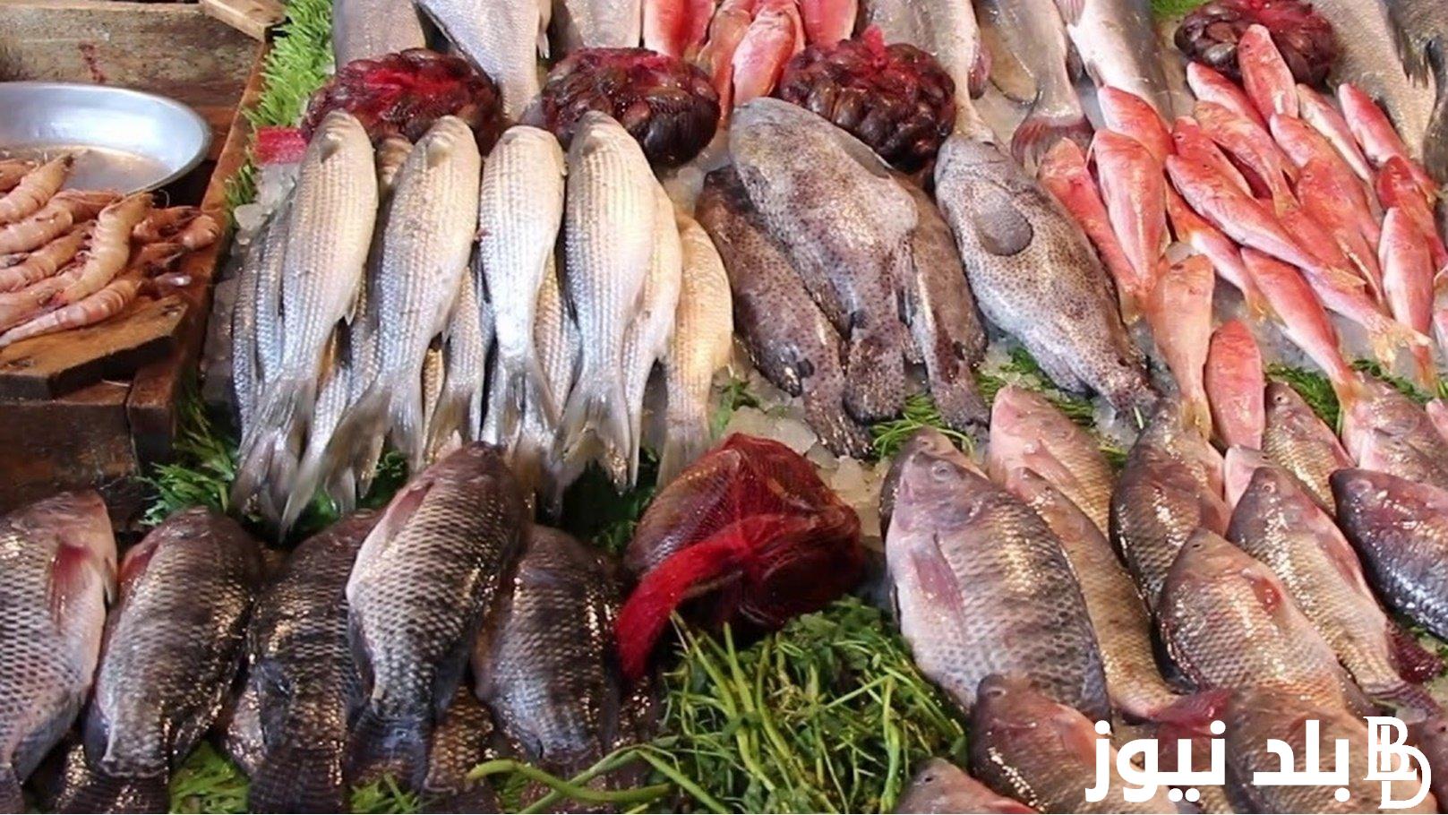 تعرف على.. أسعار السمك اليوم للمستهلك فى جميع الاسواق المصريه