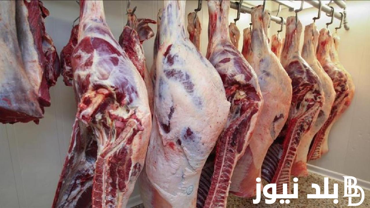“البلدي وصلت كام” سعر كيلو اللحمة اليوم الاثنين 26 فبراير 2024 في محلات الجزارة و منافذ البيع