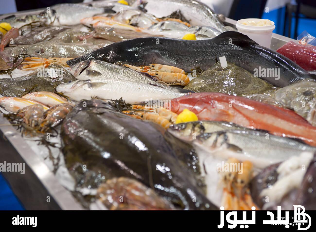تعرف على.. سعر كيلو السمك اليوم الاثنين 26 فبراير 2024 في الاسواق و الشوادر