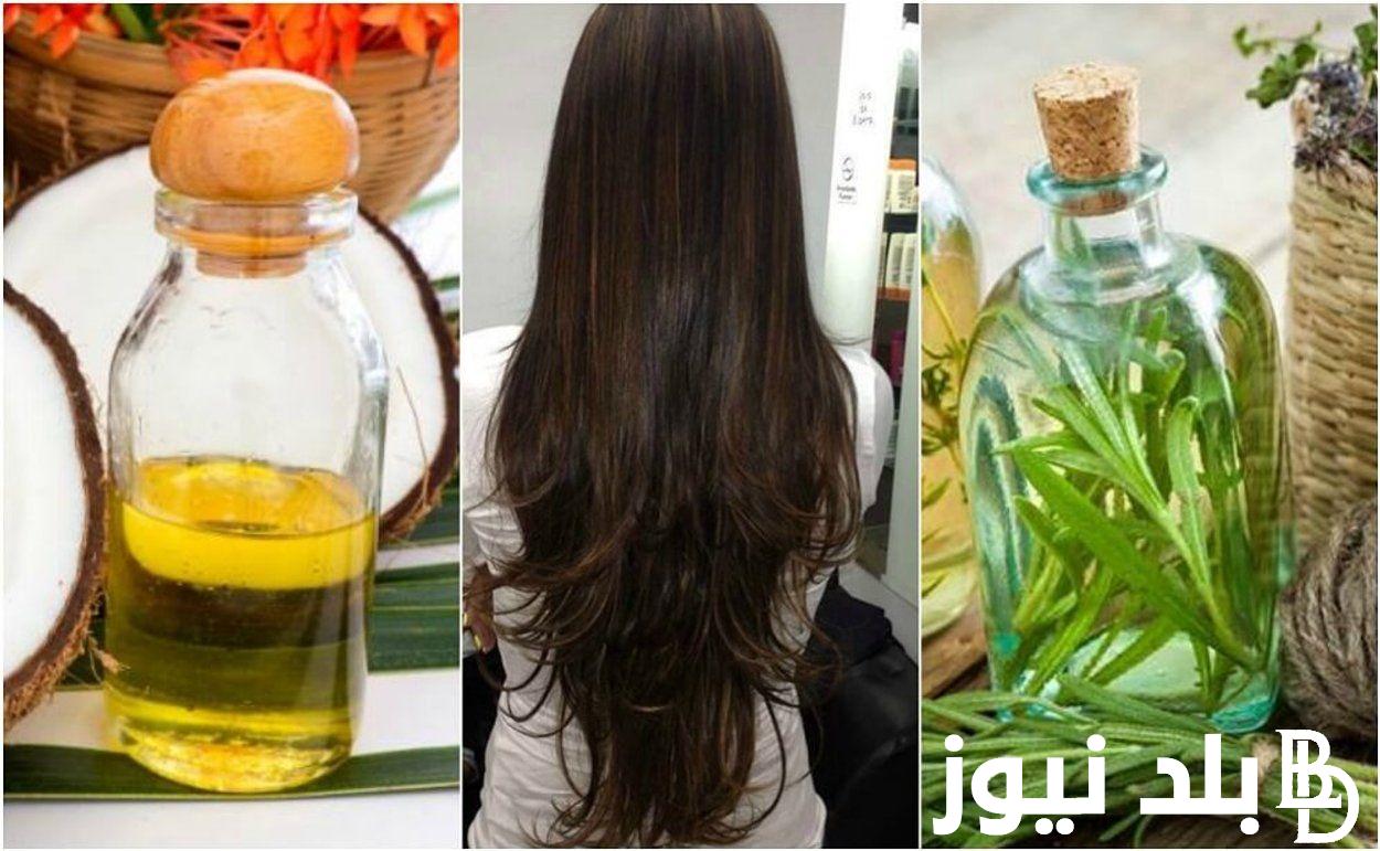 ” ستدهشك النتيجة”.. وصفة الروزماري للشعر في المنزل