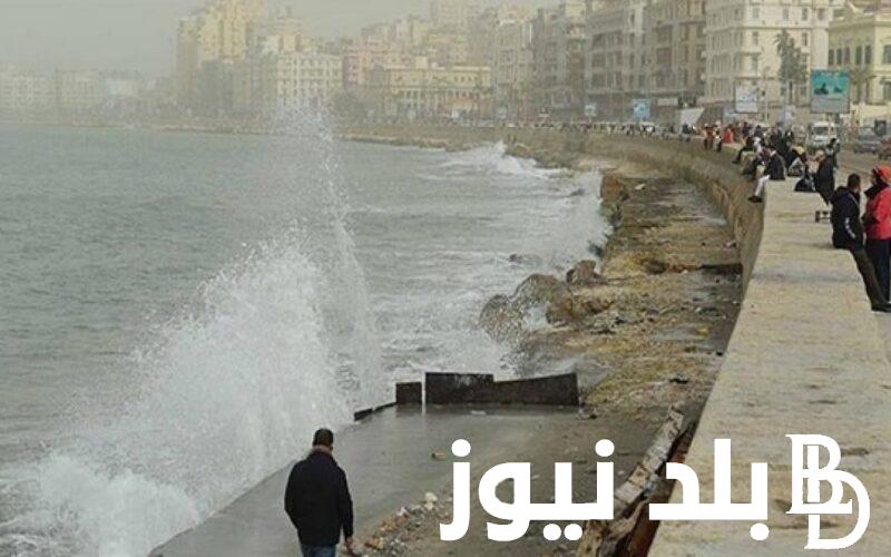 حقيقة تعطيل الدراسة غدا في مصر حقيقة ام لا.. وكيل وزارة التربية والتعليم يوضح التفاصيل