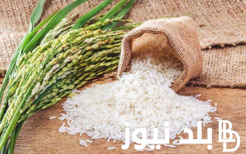 الارز بكام؟.. اسعار الارز الشعير اليوم الاربعاء 28 فبراير 2024 في الاسواق