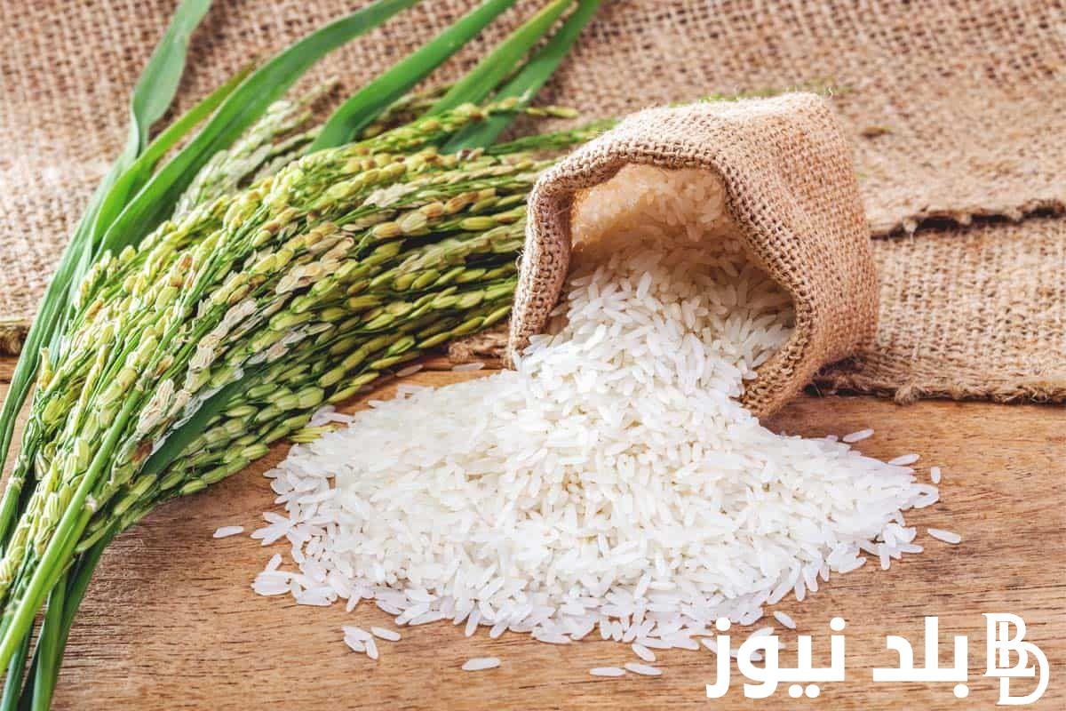 وصل لكام.. سعر طن الأرز الشعير اليوم الاربعاء 28 فبراير 2024 في الاسواق