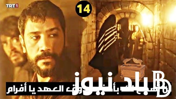 الآن “الحَلقة 14” مسلسل صلاح الدين الايوبي الحلقة 14 عبر كل ترددات القنوات الناقلة الحلقة الرابعة عشر Salahaddin