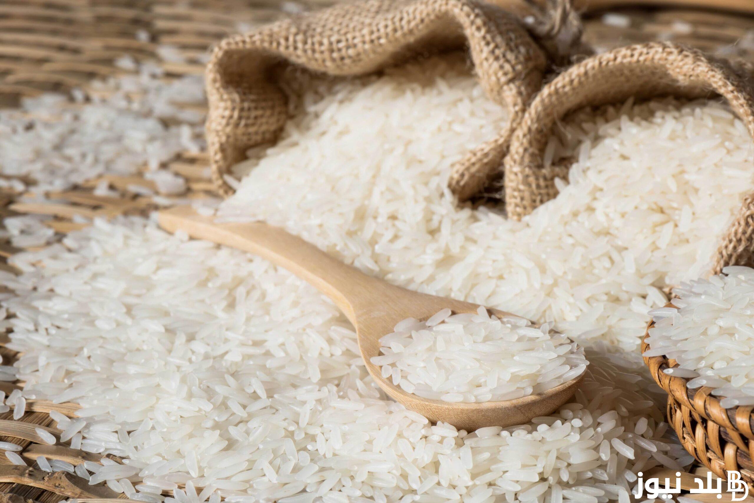 تعرف على سعر طن الأرز الشعير اليوم الخميس 15 فبراير 2024 بالاسواق المصرية