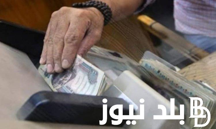 صرف مرتبات شهر فبراير 2024.. وزارة المالية تُحدد