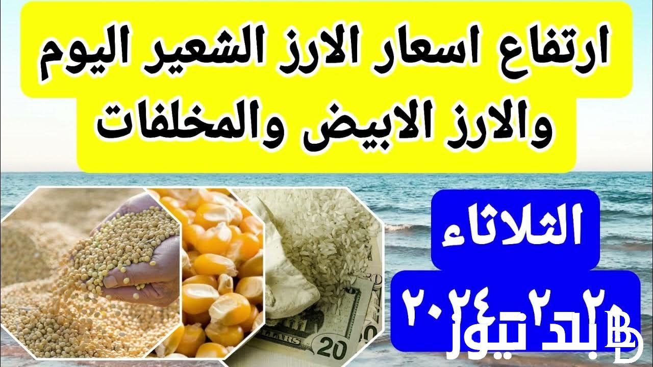 “خزني قبل رمضان” سعر طن الأرز الشعير اليوم الثلاثاء 20 فبراير 204 للمستهلك في مصر