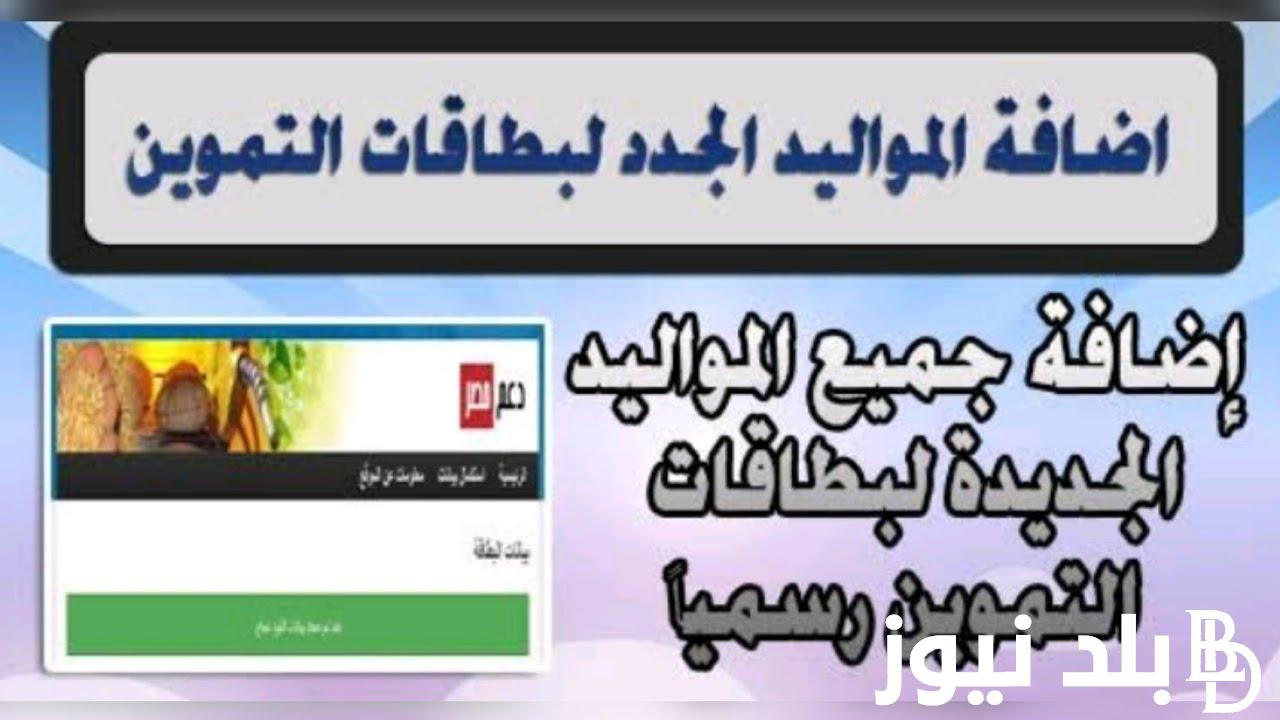عاجل “لهذة الفئات” اضافة المواليد على بطاقة التموين 2024 بالرقم القومي عبر موقع بوابة مصر الرقمية