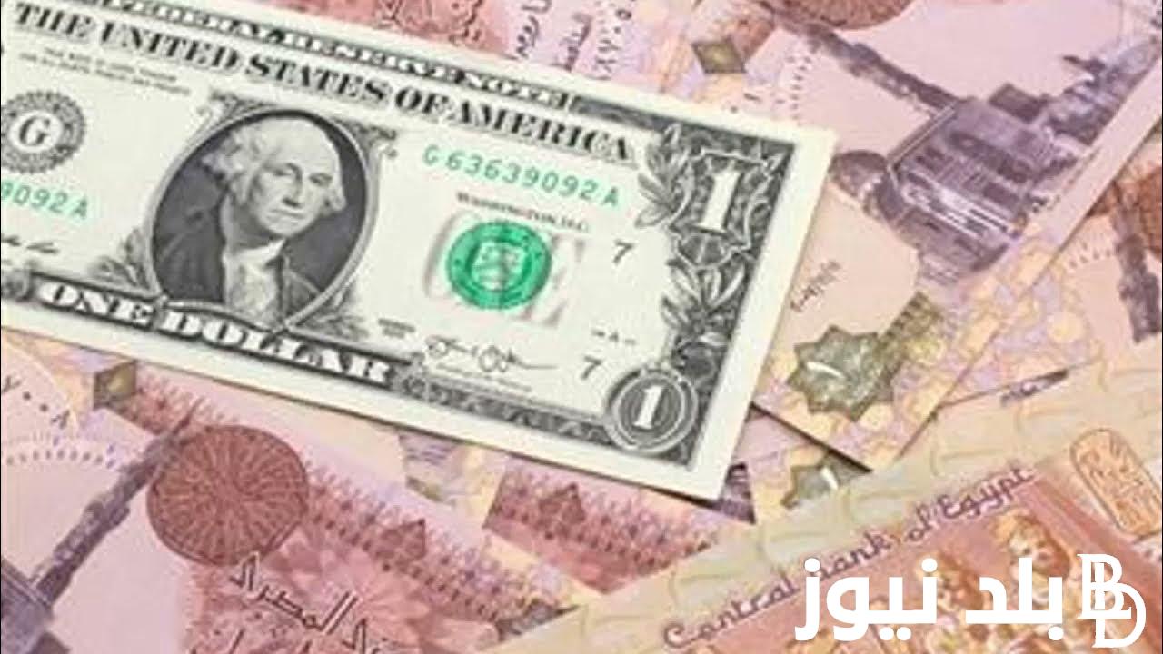 “الدولار حير التجار”سعر الدولار اليوم في مصر تحديث يومي السوق السوداء بتاريخ 20/2/2024 امام الجنيه المصري