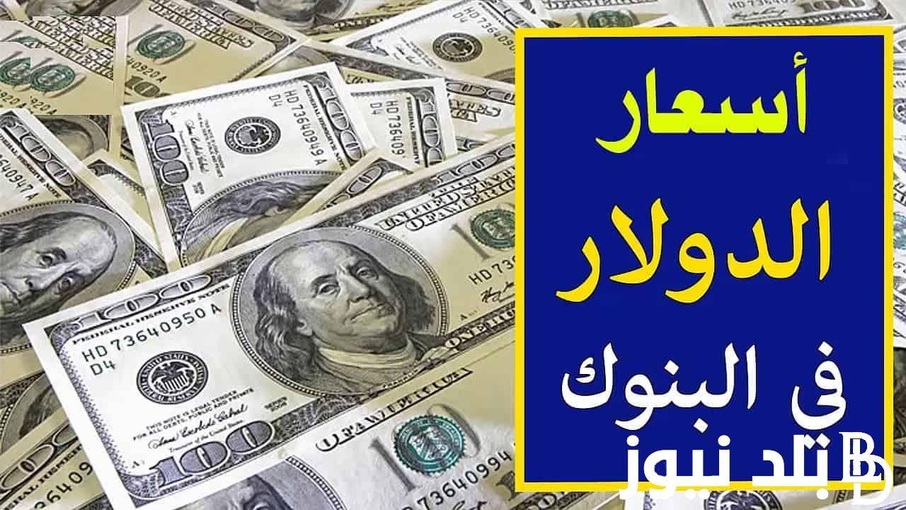 “تعرف على”سعر الدولار اليوم الاربعاء 7 فبراير بالبنوك المصرية