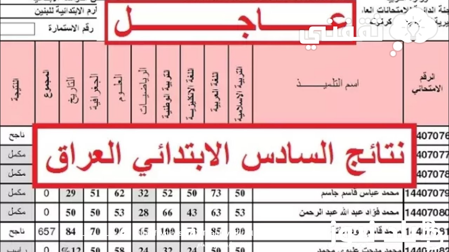 رابط نتائج السادس الابتدائي الدور التمهيدي 2024 صلاح الدين عبر موقع نتائجنا