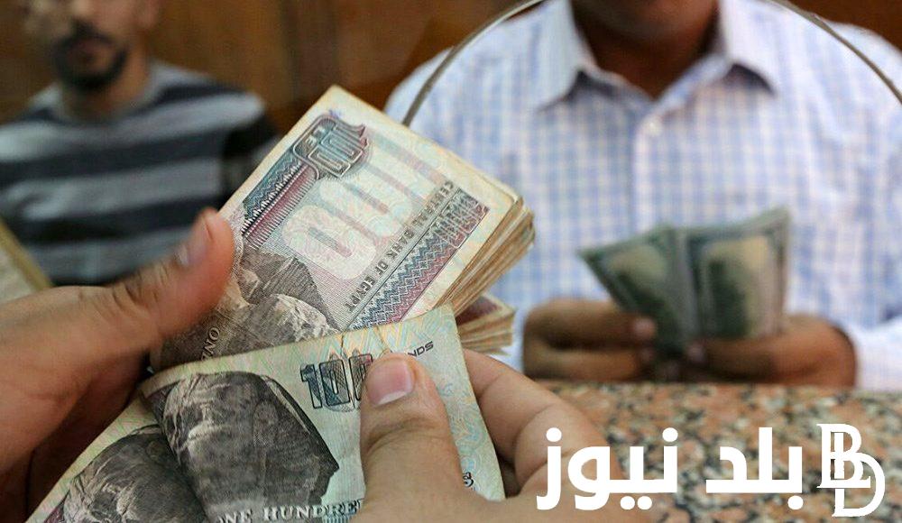 “زيادة 15%” موعد صرف معاش تكافل وكرامة شهر فبراير 2024 وكيفية الاستعلام بالرقم القومي