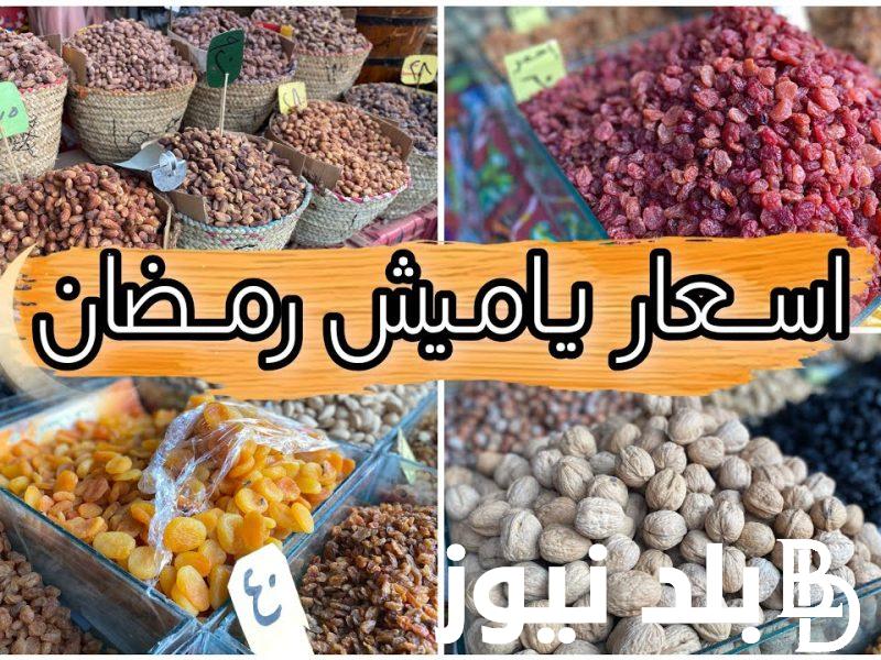اسعار ياميش رمضان 2024 بالأسواق المصرية” شوف الزبيب والبلح بكام”