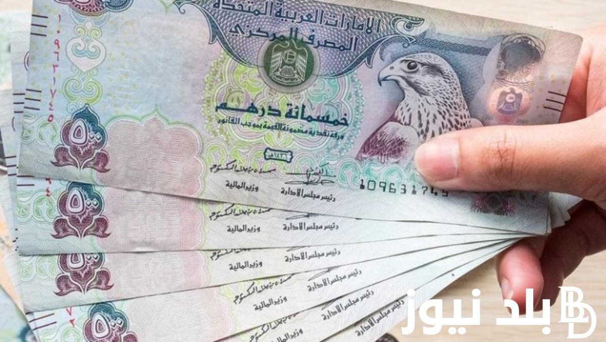 الاماراتي وصل كام.. سعر الدرهم الاماراتي في السوق السوداء اليوم الخميس 29 فبراير 2024