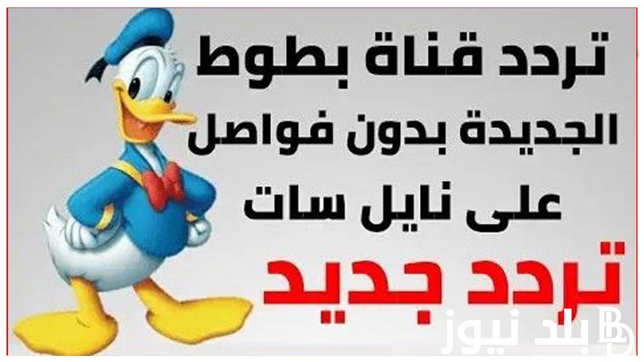 ثبت الان.. تردد قناة بطوط الجديدة 2024 بجودة HD علي النايل سات