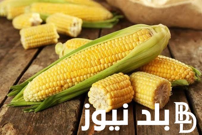 “صفراء وبيضاء” سعر طن الذرة الصفراء اليوم السبت 10 فبراير 2024 في جميع الاسواق التجارية