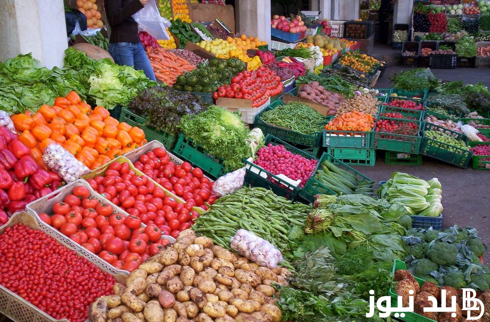 “جدول الخضار والفاكهة” اسعار الخضار اليوم الثلاثاء 26 مارس 2024 في الاسواق المصرية