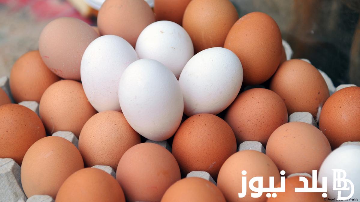 سعر كرتونة البيض اليوم الاربعاء 13 مارس 2024 للمستهلك في المحلات