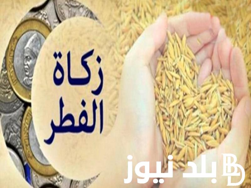 دار الافتاء المصرية: تحديد قيمة زكاة الفطر ٢٠٢٤ وما قيمة فدية رمضان لهذا العام